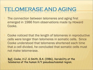 Telomerase its role in aging and cancer | PPT