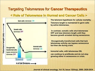 Telomerase its role in aging and cancer | PPT