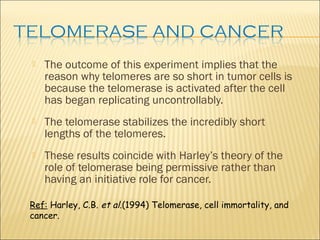 Telomerase its role in aging and cancer | PPT