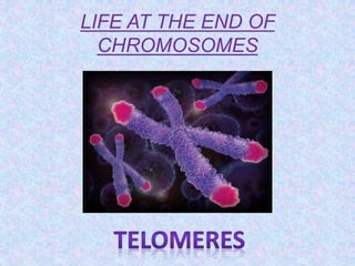 LIFE AT THE END OF
CHROMOSOMES
 