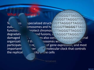 What is Telomere ?
Telomeres are specialized structures at the ends of all
eukaryotic chromosomes and have special biological
functions. They protect chromosomes from nucleolytic
degradation, endto-end fusions, and to be recognized as
damaged DNA. Telomeres also contribute to the functional
organizations of the chromosomes within the nucleus,
participate in the regulation of gene expression, and most
importantly, they serve as a molecular clock that controls
the replicative capacity of the cells
 