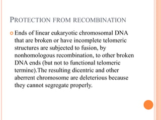 PROTECTION FROM RECOMBINATION
 Ends of linear eukaryotic chromosomal DNA
that are broken or have incomplete telomeric
structures are subjected to fusion, by
nonhomologous recombination, to other broken
DNA ends (but not to functional telomeric
termine).The resulting dicentric and other
aberrent chromosome are deleterious because
they cannot segregate properly.
 