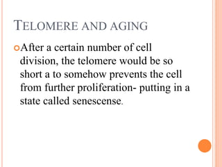 TELOMERE AND AGING
After a certain number of cell
division, the telomere would be so
short a to somehow prevents the cell
from further proliferation- putting in a
state called senescense.
 