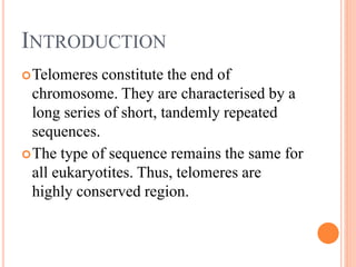 INTRODUCTION
Telomeres constitute the end of
chromosome. They are characterised by a
long series of short, tandemly repeated
sequences.
The type of sequence remains the same for
all eukaryotites. Thus, telomeres are
highly conserved region.
 