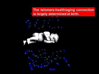 The Long and the Short of It- Telomeres, Aging and Chronic Disease