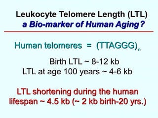 The Long and the Short of It- Telomeres, Aging and Chronic Disease