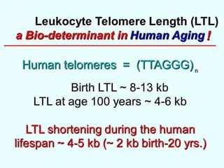 The Long and the Short of It- Telomeres, Aging and Chronic Disease