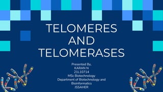 TELOMERES
AND
TELOMERASES
Presented By,
KARAN N
21L10714
MSc Biotechnology
Department of Biotechnology and
Bioinformatics
JSSAHER
 