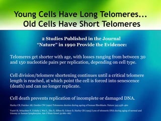 Young Cells Have Long Telomeres...
Old Cells Have Short Telomeres
2 Studies Published in the Journal
“Nature” in 1990 Provide the Evidence:
Telomeres get shorter with age, with losses ranging from between 30
and 150 nucleotide pairs per replication, depending on cell type.
Cell division/telomere shortening continues until a critical telomere
length is reached, at which point the cell is forced into senescence
(death) and can no longer replicate.
Cell death prevents replication of incomplete or damaged DNA.
Harley CB, Futcher AB, Greider CW (1990) Telomeres shorten during ageing of human fibroblasts. Nature 345:458–460
Vaziri H, Schachter F, Uchida I, Wei L, Zhu X, Effros R, Cohen D, Harley CB (1993) Loss of telomeric DNA during aging of normal and
trisomy 21 human lymphocytes. Am J Hum Genet 52:661–667
 