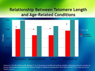 Relationship Between Telomere Length
and Age-Related Conditions
* *
*
T/Sratio
*
* = p< .05
Atzmon G, Cho M, Cawthon RM, Budagov T, et al. Evolution in health and medicine Sackler colloquium: Genetic variation in
human telomerase is associated with telomere length in Ashkenazi centenarians. Proc Natl Acad Sci U S A. 2010 Jan 26;107
Suppl 1:1710-7.
 