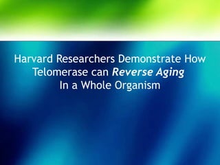 Harvard Researchers Demonstrate How
Telomerase can Reverse Aging
In a Whole Organism
 
