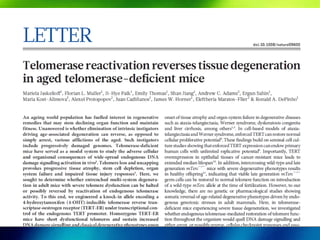 Harvard Researchers Demonstrate How
Telomerase can Reverse Aging
In a Whole Organism
 
