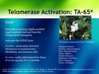 Telomerase Activation: TA-65®
TA-65®
Naturally-occurring, highly purified
single molecule derived from the
Chinese herb Astragalus
Activates the hTERT gene
In vitro: moderately activated
telomerase in keratinocytes,
fibroblasts, and immune cells
In vivo: orally administered in doses
of 10-50 mg/day for 12-months
Harley CB, Liu W, Blasco M, Vera E, Andrews WH, Briggs LA, Raffaele JM. A natural product telomerase activator as part of a
health maintenance program. Rejuvenation Res. 2011 Feb;14(1):45-56.
Astragalus tragacantha (ssp. Vicentinus)
Kingdom: Plantae
Division: Magnoliophyta
Class: Magnoliopsida
Order: Fabales
Family: Fabaceae
Subfamily: Faboideae
Tribe: Galegeae
Genus: Astragalus
 