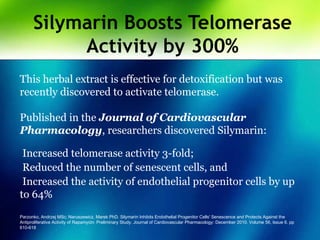 Silymarin Boosts Telomerase
Activity by 300%
This herbal extract is effective for detoxification but was
recently discovered to activate telomerase.
Published in the Journal of Cardiovascular
Pharmacology, researchers discovered Silymarin:
Increased telomerase activity 3-fold;
Reduced the number of senescent cells, and
Increased the activity of endothelial progenitor cells by up
to 64%
Parzonko, Andrzej MSc; Naruszewicz, Marek PhD. Silymarin Inhibits Endothelial Progenitor Cells' Senescence and Protects Against the
Antiproliferative Activity of Rapamycin: Preliminary Study. Journal of Cardiovascular Pharmacology: December 2010. Volume 56, Issue 6. pp
610-618
 
