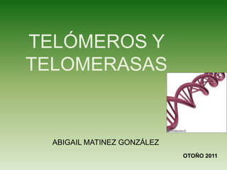 TELÓMEROS Y
TELOMERASAS


  ABIGAIL MATINEZ GONZÁLEZ
                             OTOÑO 2011
 