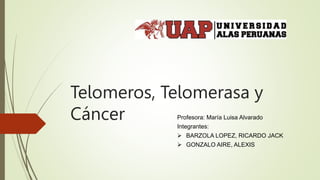 Telomeros, Telomerasa y
Cáncer Profesora: María Luisa Alvarado
Integrantes:
 BARZOLA LOPEZ, RICARDO JACK
 GONZALO AIRE, ALEXIS
 
