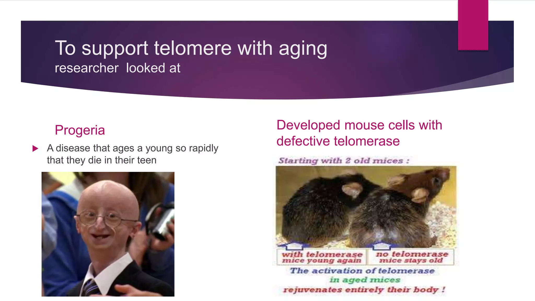 Telomers and Telomerases | PPTX