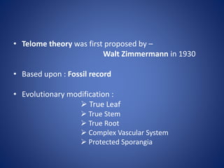 • Telome theory was first proposed by –
Walt Zimmermann in 1930
• Based upon : Fossil record
• Evolutionary modification :
 True Leaf
 True Stem
 True Root
 Complex Vascular System
 Protected Sporangia
 