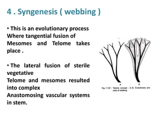 4 . Syngenesis ( webbing )
• This is an evolutionary process
Where tangential fusion of
Mesomes and Telome takes
place .
• The lateral fusion of sterile
vegetative
Telome and mesomes resulted
into complex
Anastomosing vascular systems
in stem.
 