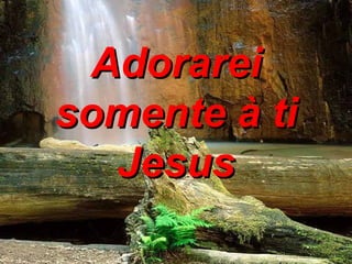 Adorarei somente à ti Jesus 