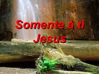 Somente à ti Jesus 