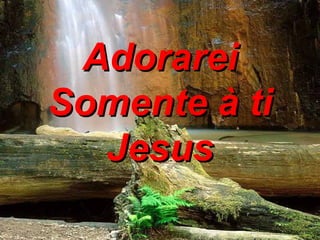 Adorarei Somente à ti Jesus 