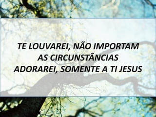 TE LOUVAREI, NÃO IMPORTAM
AS CIRCUNSTÂNCIAS
ADORAREI, SOMENTE A TI JESUS
 