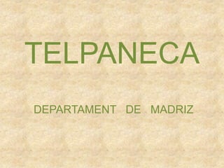 TELPANECA
DEPARTAMENT DE MADRIZ
 