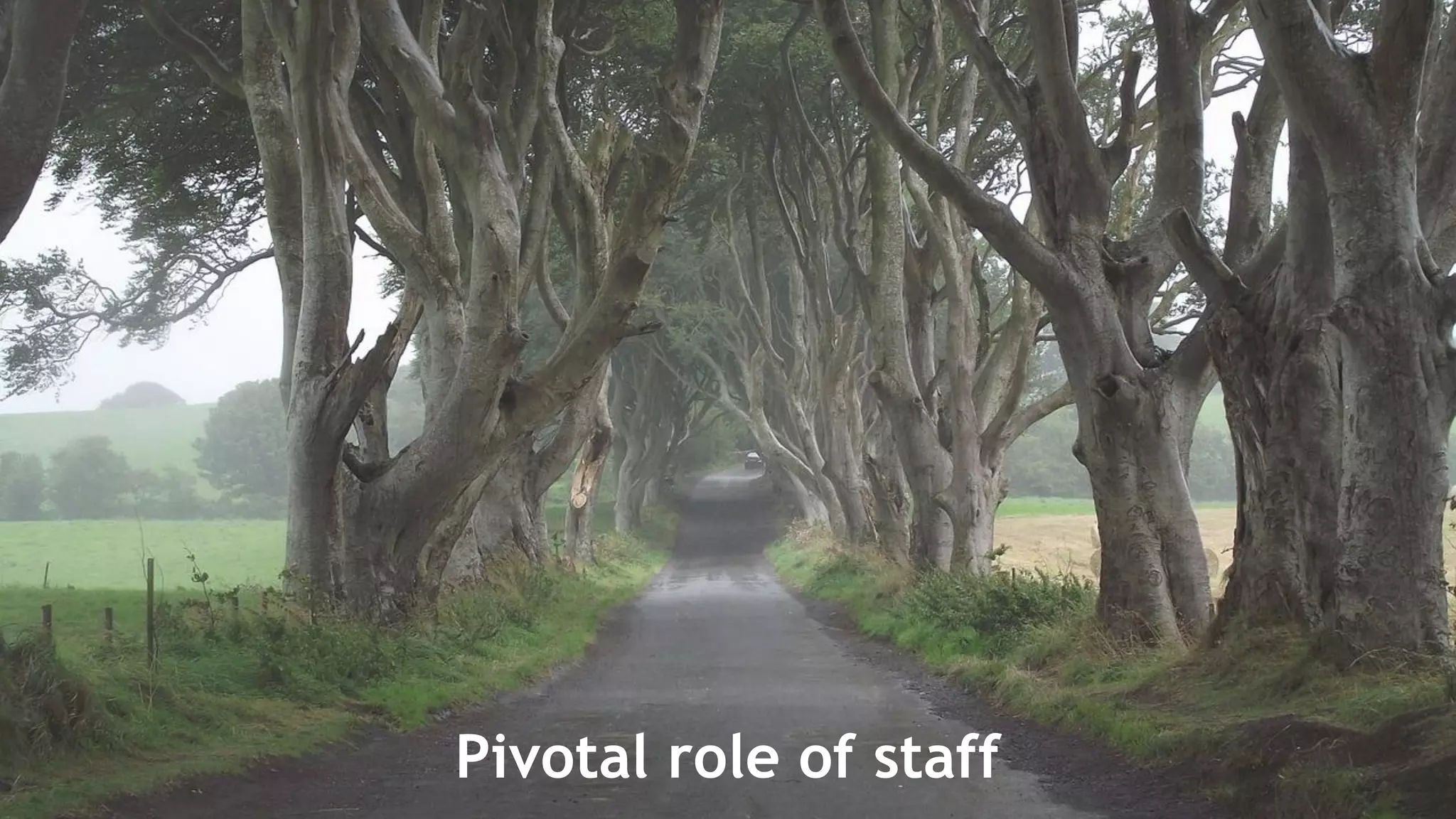 Pivotal role of staff
 