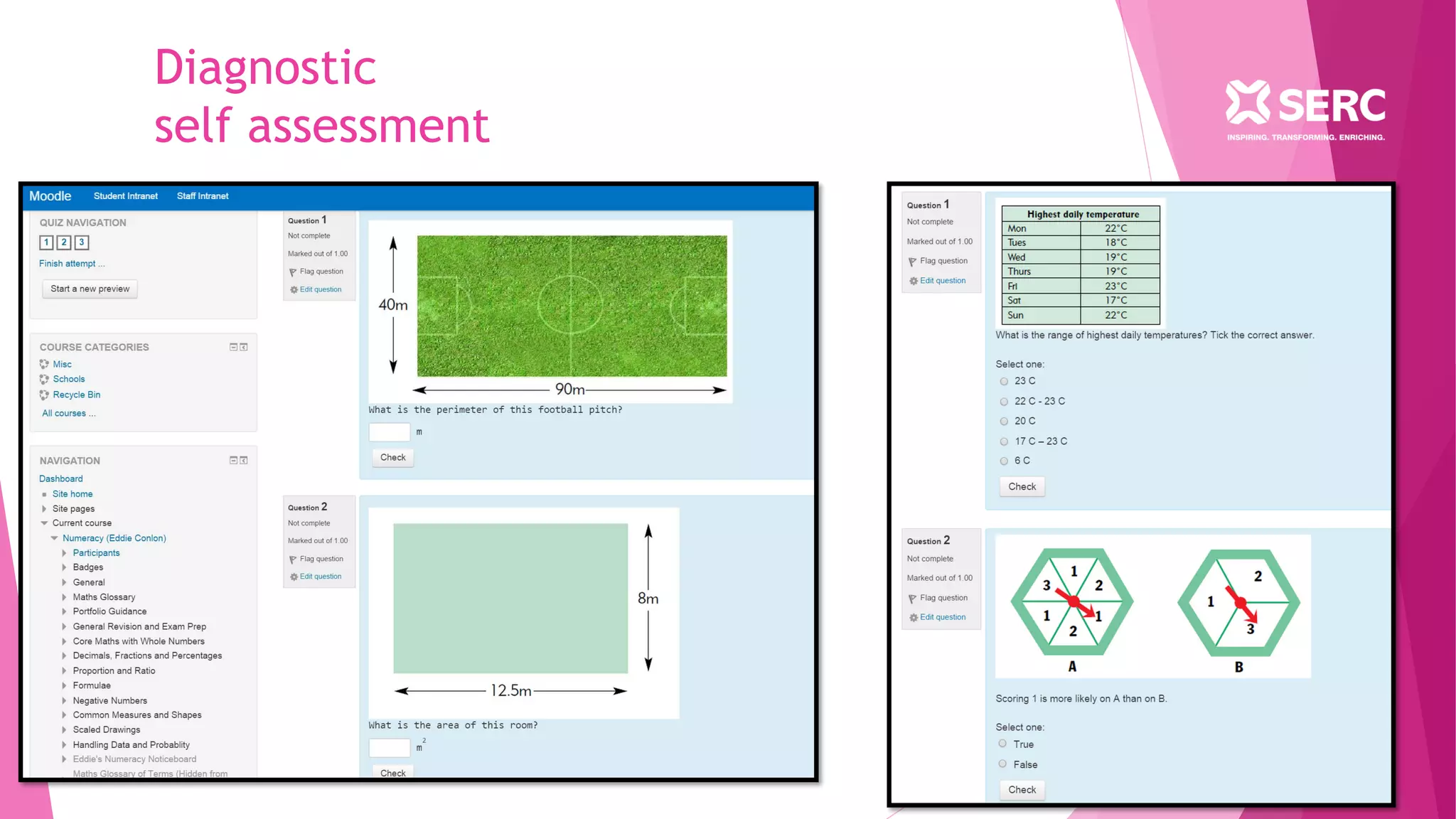 Diagnostic
self assessment
 
