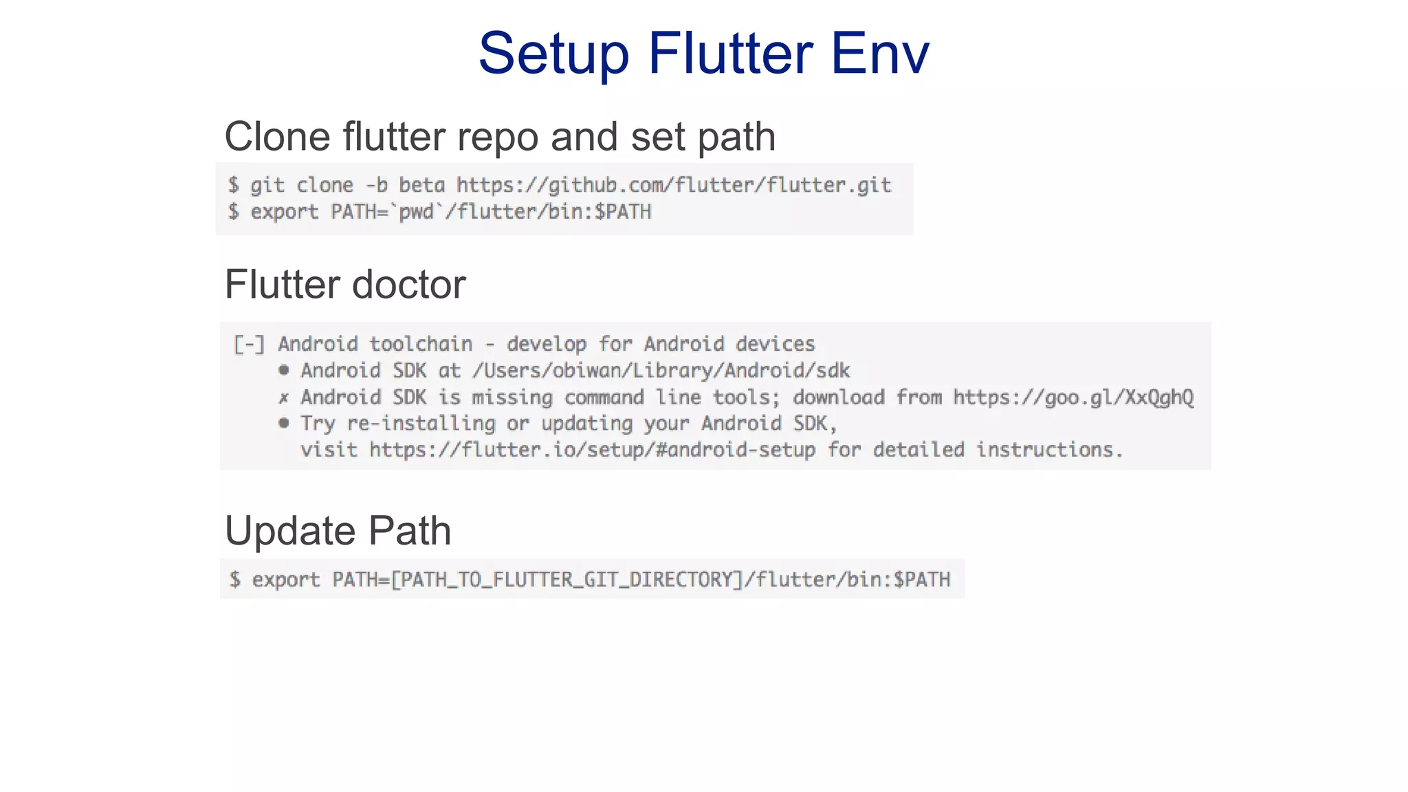 Setup Flutter Env Clone flutter repo and set path Flutter doctor Update Path 