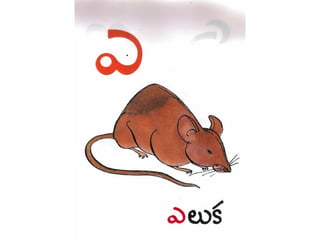 telugu alphabets