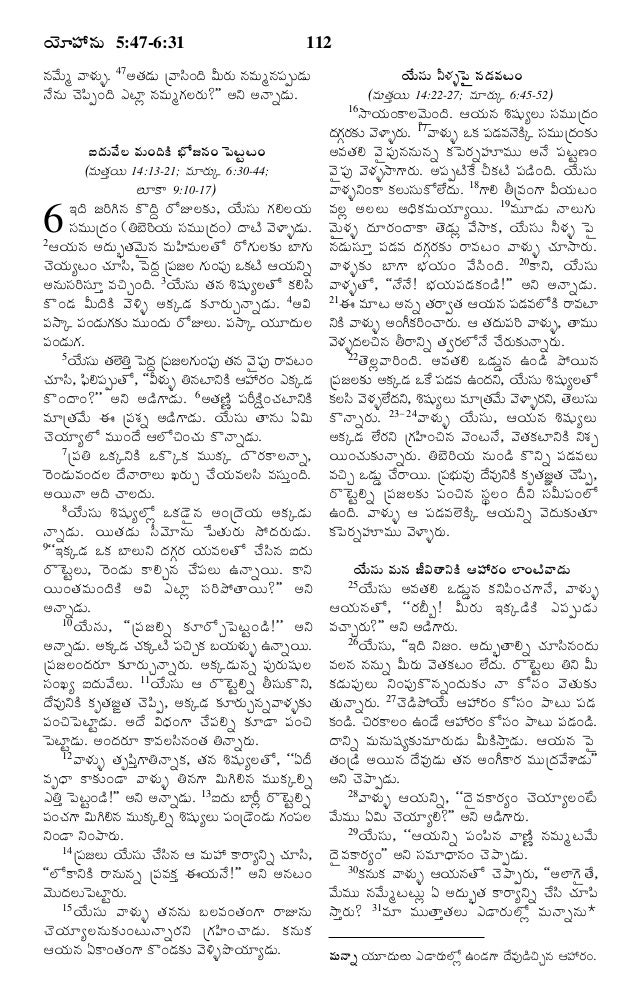 Telugu Bible 43 John