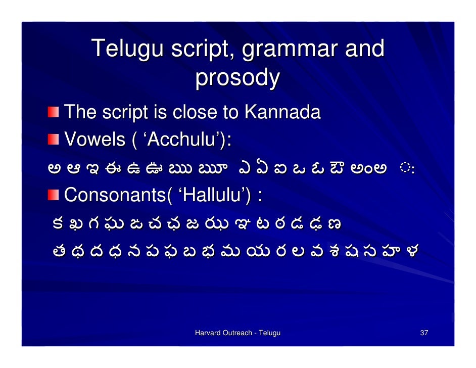 Telugu Language Conf In Harvard2