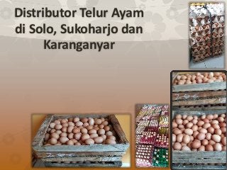 Distributor Telur Ayam
di Solo, Sukoharjo dan
Karanganyar
 