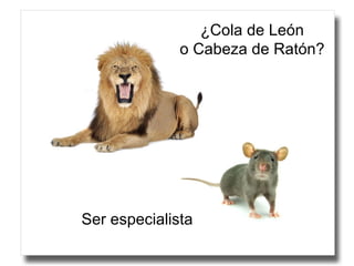 ¿Cola de León o Cabeza de Ratón? Ser especialista 