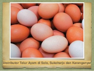 Distributor Telur Ayam di Solo, Sukoharjo dan Karanganyar
 