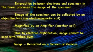 Interaction between electrons and specimen in
the beam produces the image of the specimen.
Image of the specimen can be collected by an
objective lens (an electromagnetic coil)
Magnified by an Amplifier (another coil)
Due to electron distribution, image cannot be
seen with naked eyes.
Image - Recorded on a Screen or Camera.
 