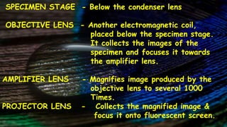 SPECIMEN STAGE - Below the condenser lens
OBJECTIVE LENS - Another electromagnetic coil,
placed below the specimen stage.
It collects the images of the
specimen and focuses it towards
the amplifier lens.
AMPLIFIER LENS - Magnifies image produced by the
objective lens to several 1000
Times.
PROJECTOR LENS - Collects the magnified image &
focus it onto fluorescent screen.
 