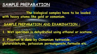 SAMPLE PREPARATION
The biological samples have to be loaded
with heavy atoms like gold or osmonium.
SAMPLE PREPARATION AND EXAMINATION :
1. Wet specimen is dehydrated using ethanol or acetone.
2. Fixation is done by Osmonium tetroxide,
glutaraldehyde, potassium permanganate,formalin etc.
 