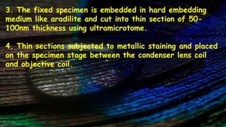 3. The fixed specimen is embedded in hard embedding
medium like aradilite and cut into thin section of 50-
100nm thickness using ultramicrotome.
4. Thin sections subjected to metallic staining and placed
on the specimen stage between the condenser lens coil
and objective coil.
 