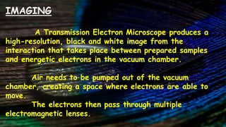 IMAGING
A Transmission Electron Microscope produces a
high-resolution, black and white image from the
interaction that takes place between prepared samples
and energetic electrons in the vacuum chamber.
Air needs to be pumped out of the vacuum
chamber, creating a space where electrons are able to
move.
The electrons then pass through multiple
electromagnetic lenses.
 