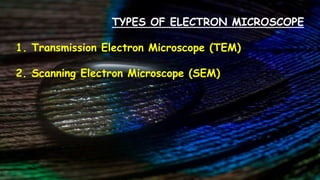 TYPES OF ELECTRON MICROSCOPE
1. Transmission Electron Microscope (TEM)
2. Scanning Electron Microscope (SEM)
 