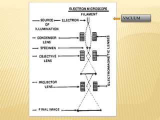 Transmission Electron Microscopy | PPTX