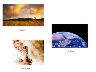 Jardim. A Terra. Colo da mãe. 
