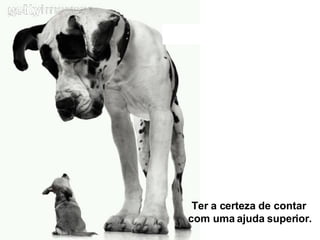 Ter a certeza de contar  com uma ajuda superior. 
