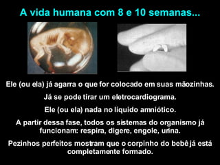 Ele (ou ela) já agarra o que for colocado em suas mãozinhas. Já se pode tirar um eletrocardiograma. Ele (ou ela) nada no líquido amniótico. A partir dessa fase, todos os sistemas do organismo já funcionam: respira, digere, engole, urina. Pezinhos perfeitos mostram que o corpinho do bebê já está completamente formado. A vida humana com 8 e 10 semanas... 