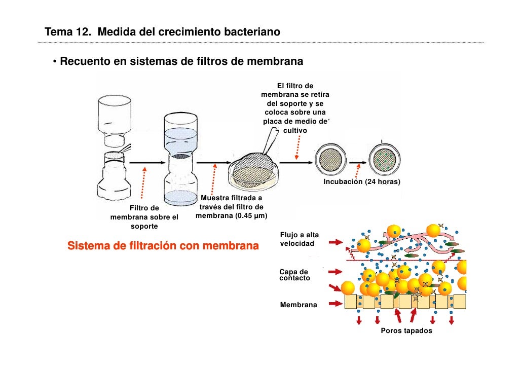 RECUENTOS SOBRE FILTROS DE MEMBRANA