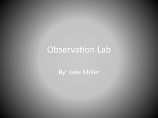 Observation Lab
By: Jake Miller
 