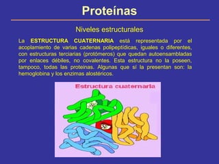 Proteínas
Niveles estructurales
La ESTRUCTURA CUATERNARIA está representada por el
acoplamiento de varias cadenas polipept...